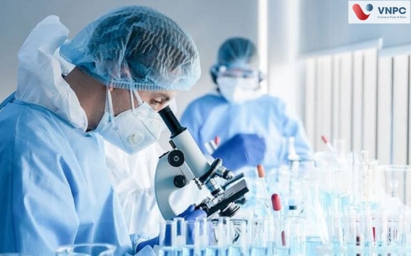 KING88 là nhà cái giải trí đỉnh cao Đức ngành Công nghệ Sinh học